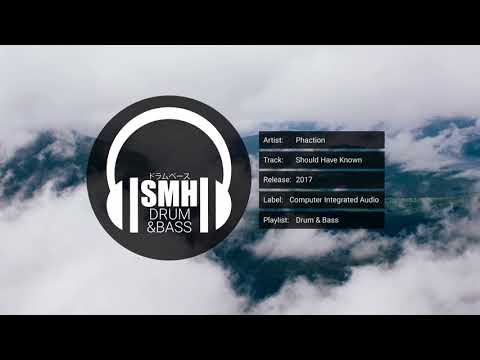 Phaction - Should Have Known