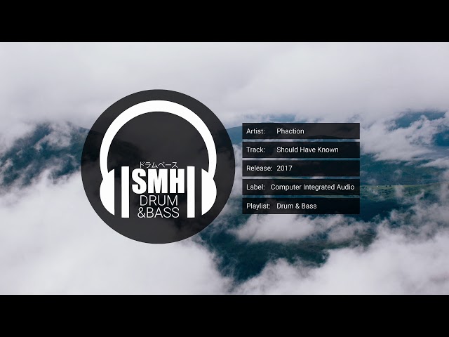 Phaction - Should Have Known