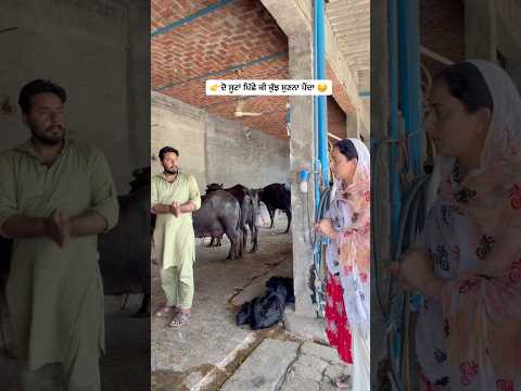ਦੋ ਸੂਟਾਂ ਪਿੱਛੇ ਕੀ ਕੁੱਝ ਸੁਣਨਾ ਪੈਂਦਾ #agilldairyfarm