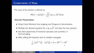 Study of Fractional Davey-Stewartson System Using the Crank-Nicolson Scheme. Prof Carlos Molina