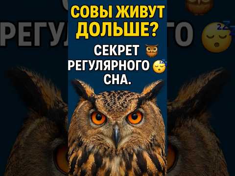 Доктор Егорин: наука долголетия