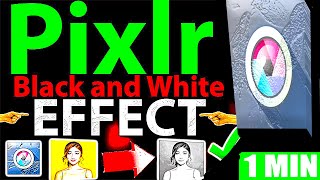 Pixlr Black And White Tutorial (Step by Step Guide – Full Tutorial)