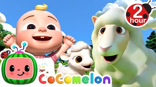 Ba Ba Black Sheep, Old MacDonald, Baby Animals + MORE | CoComelon Kids Songs & Nursery Rhymes