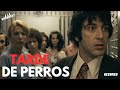 ATRACAN un BANCO para pagar CIRUGÍA TRANS / TARDE DE PERROS (1975) #alpacino