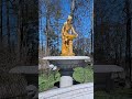 Golden Nymph x Marble Bench Fountain in Peterhof 4K HDR #peterburg #travel #asmr