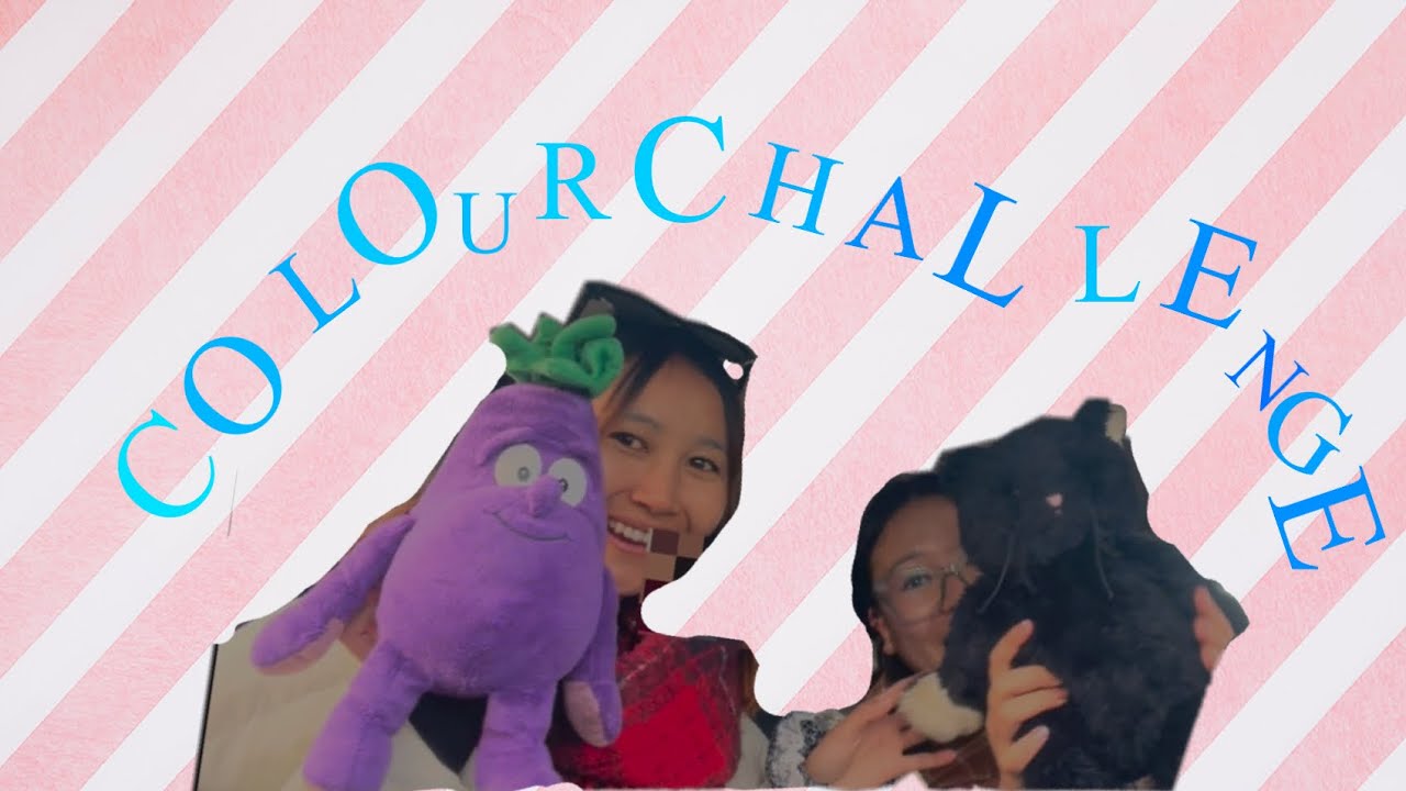Colour challenge with Bestie 😆🩷#colourchallenge #bestie #video #vlog 