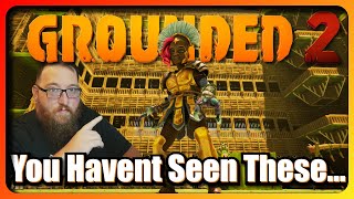 3 "ACTUAL" Best Build Locations From a PRO BUILDER in Grounded 2