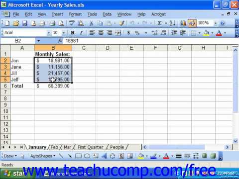Excel 2003 Tutorial Auditing Spreadsheets Microsoft Training Lesson 18.1
