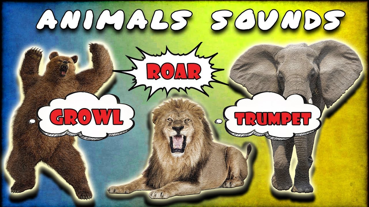 Animal Sounds in Hindi - सभी जानवरों की आवाजें । जीव जंतुओं की बोली -  Factshindisite | Facts Website