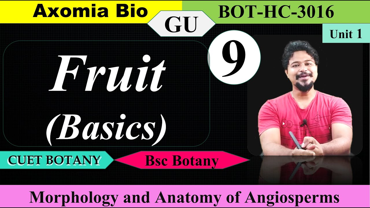 Fruit (Basics)| Morphology and anatomy| 3rd sem| Bsc Botany| CUET-PG| Dr. Rajib Borah| Axomia Bio