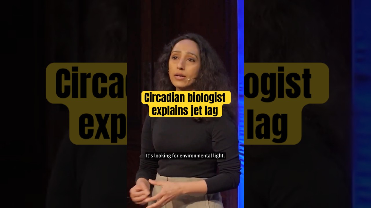 How does jetlag work? Jetlag explained by a circadian biologist #science #shorts #jetlag #biology