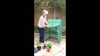 GH2015 - Lacewing 3 Tier Greenhouse Stand