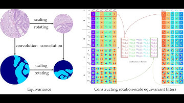 [P032] Rotation-Scale Equivariant Steerable Filters