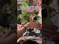 she deserves it😭😭 #dragonpuppeteer #paperdragon #art #antizoo #cringe #dragon #paperdragonpuppet