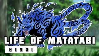 Life of Matatabi (2 Tails) in Hindi || Naruto screenshot 5