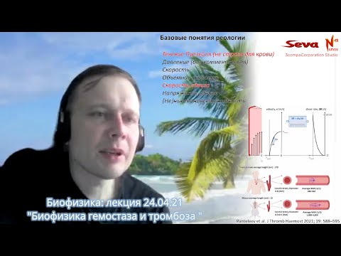 ГЕМОСТАЗ и ТРОМБОЗ | БИОФИЗИКА (лекция) — ПАНТЕЛЕЕВ Михаил Александрович ФизФак МГУ
