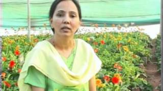 हिन्दी Video of Farmer Knowledge Exchange - aAQUA by Agrocom, aaqua.org screenshot 2