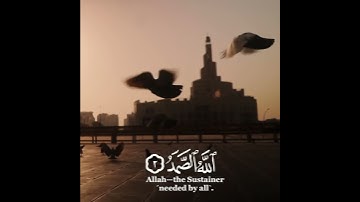 ما تيسر من سورة الإخلاص للقارئ رعد بن محمد الكردي #رعدالكردي #سورة_الإخلاص
