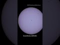 Sonnenflecken, 23.09.2023 #Sonne #Sunspots #germany #brandenburg #Sonnenschein #sun #sonnenfilter