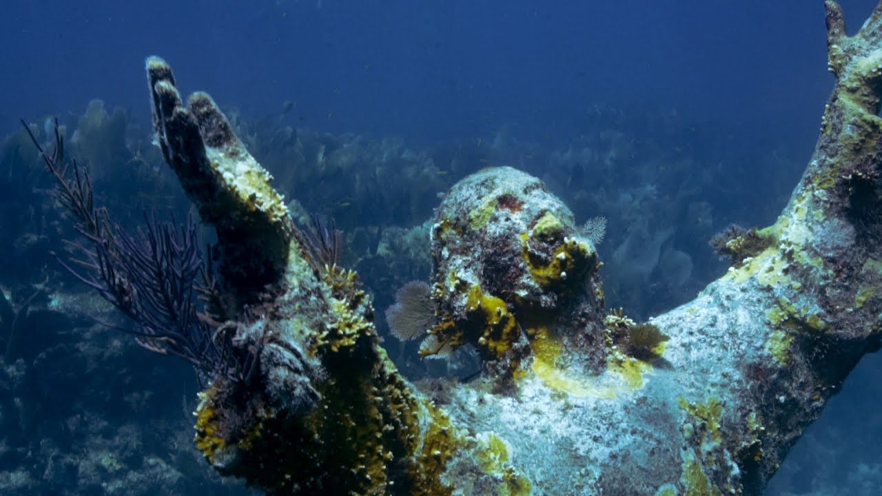 Freediving Key Largo Florida (Take the Waters)