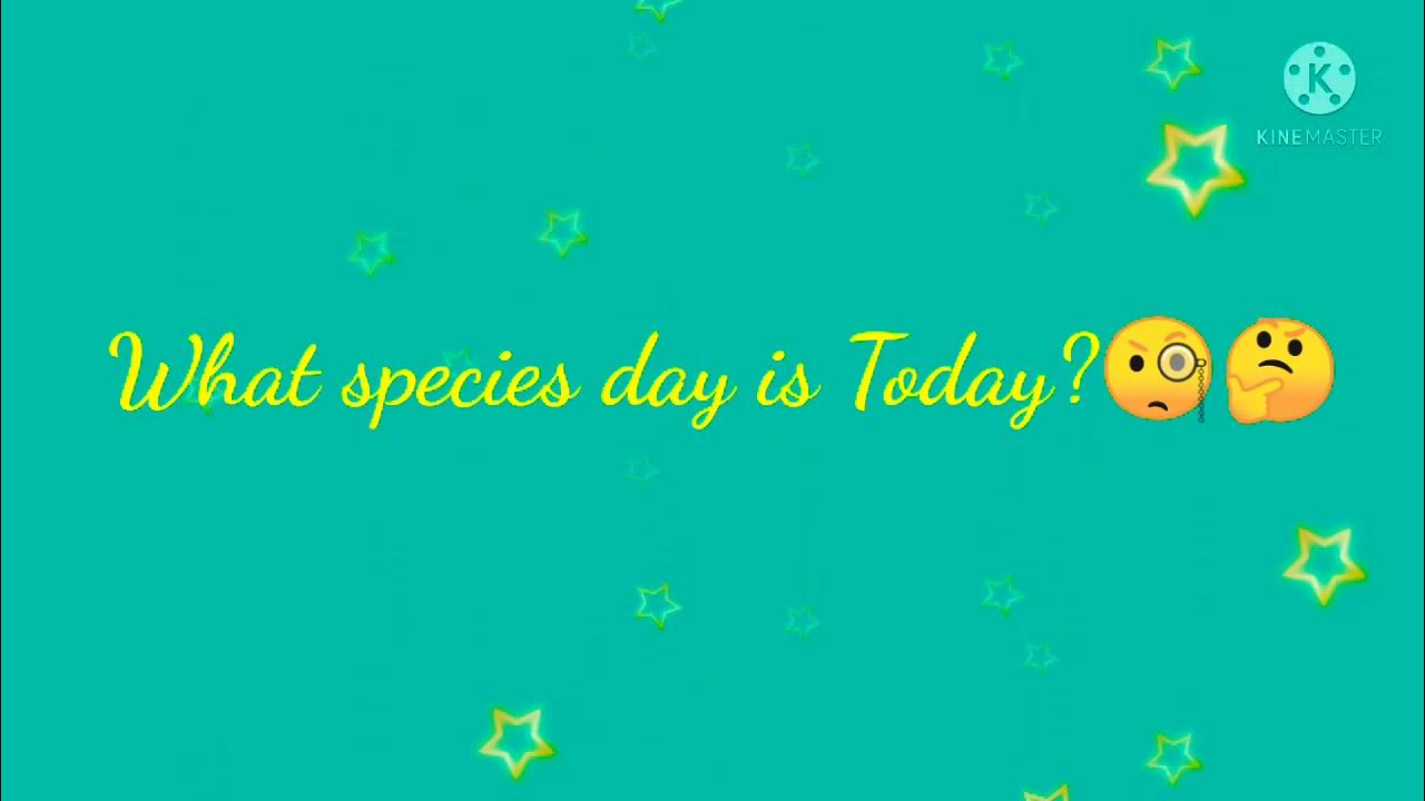 What special day is today useful daily update youtube
