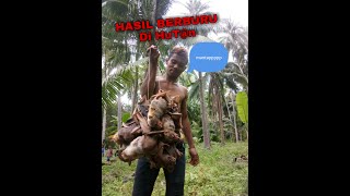 penembak jitu sniper@berburu dihutan screenshot 4