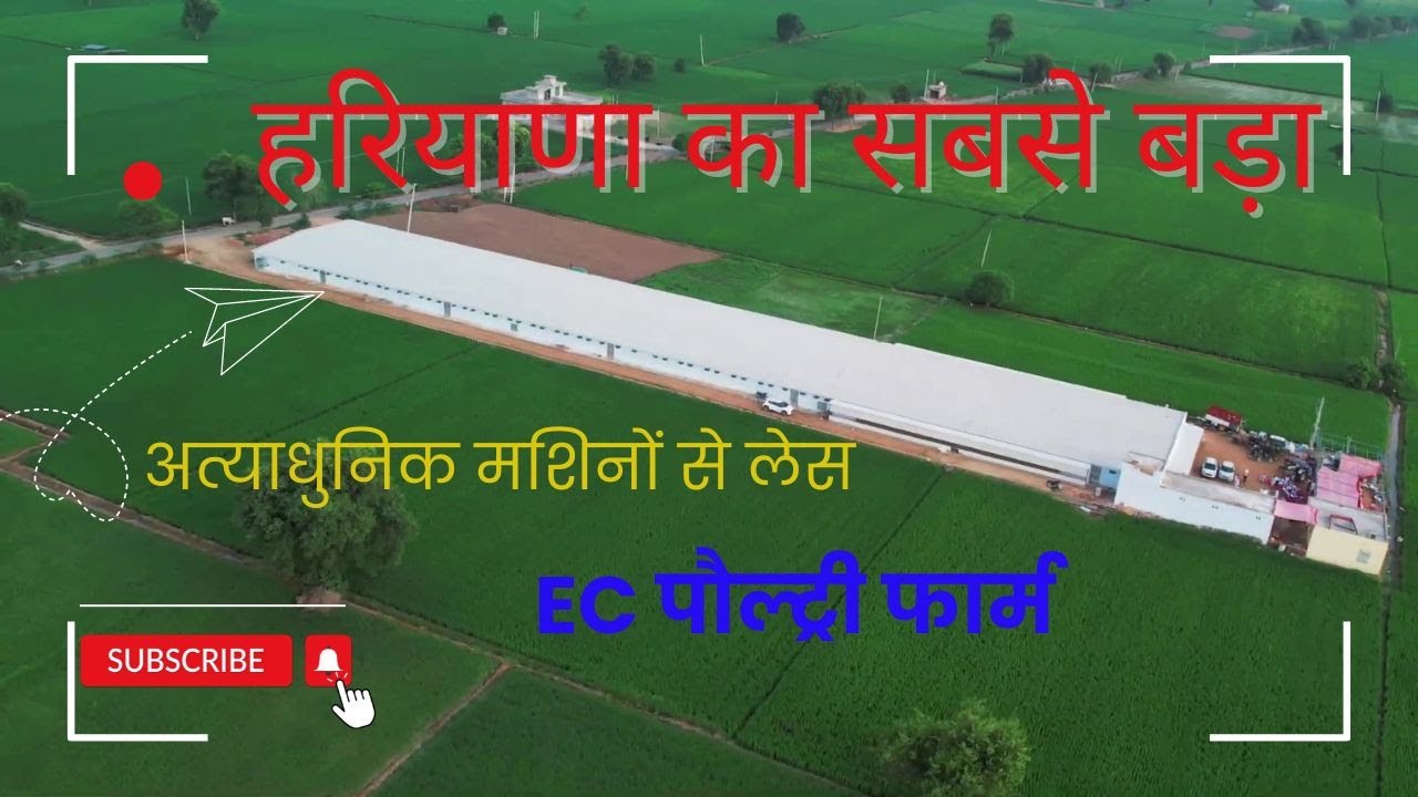 हरियाणा का सबसे बड़ा अत्याधुनिक मशिनों से लेस पौल्ट्री फार्म
