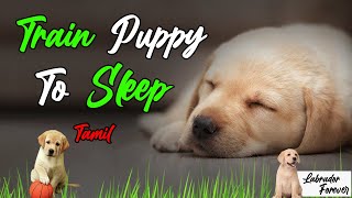 How ToTrain  A Puppy To Sleep Through the Night