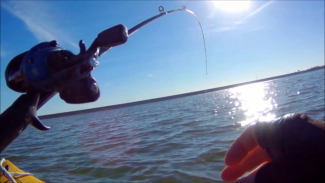 Texoma striper and big catfish kayak fishing 11/26/2017 YouTube
