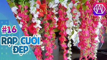 Rạp Cưới Đẹp: p16 - Nhá Hàng Sản Phẩm Mới Trong Tháng 9 | Ba Hào | Gò Công , Tiền Giang