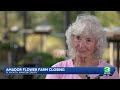 Amador Flower Farm to close after 30 years amid wine-grape industry struggles