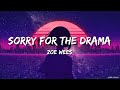 Zoe Wees - Sorry For The Drama (Lyrics)