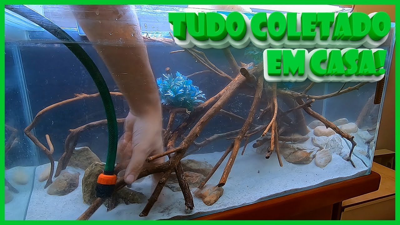 Montando um AQUÁRIO com ROCHAS e TRONCOS NATURAIS
