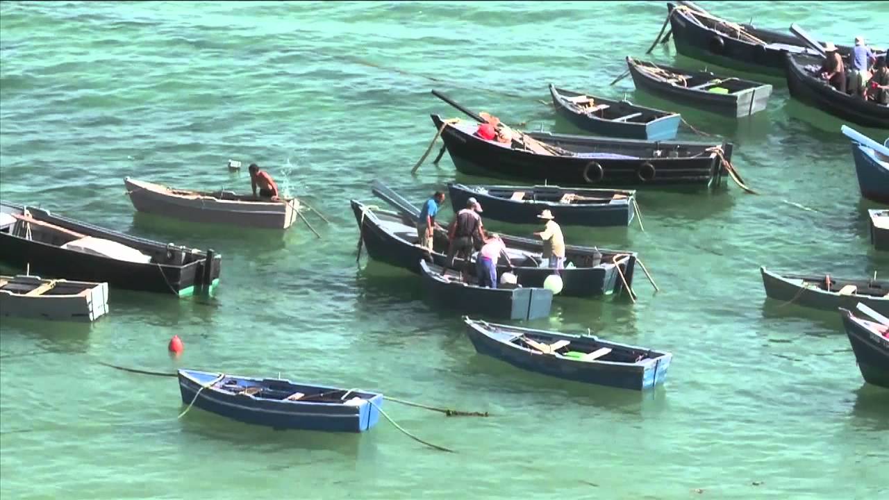 Morocco Fishing Cooperatives YouTube