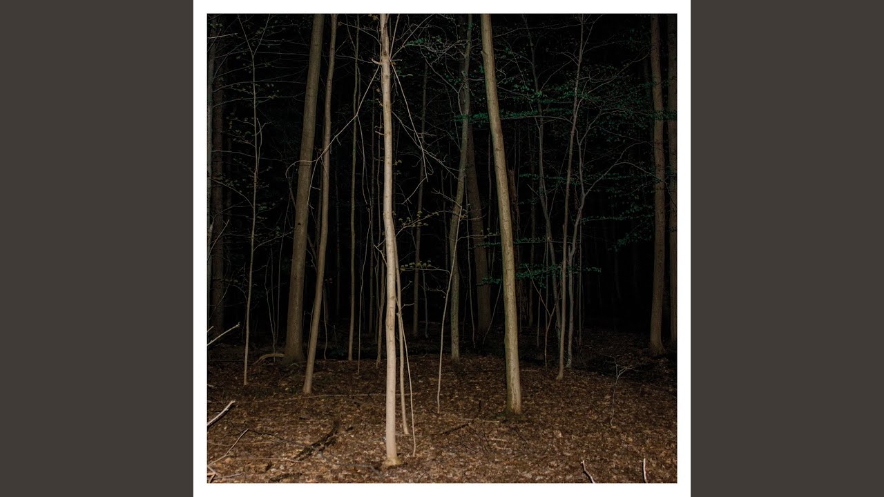 Obejrzyj Focus Puller w YouTube Obejrzyj Focus Puller w YouTube