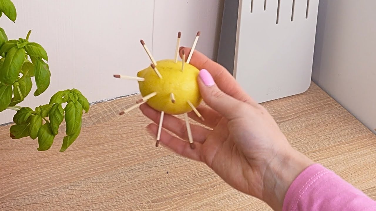 Steck eine Zitrone auf ein STREICHHOLZ! Was dann passiert, RETTET deinen HAUSHALT!