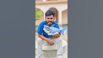 RC Shark unboxing and testing 😁