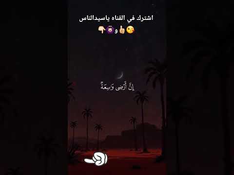 شاهد كيف الحنش فات لقف الاسد احترم اخردقايق الفيديو اخي المسلم الكريم اكسبلور القزابري الثامن