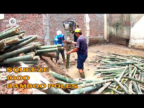 Technique of pressing 1000 bamboo poles into a solid foundation| Traditional construction techniques