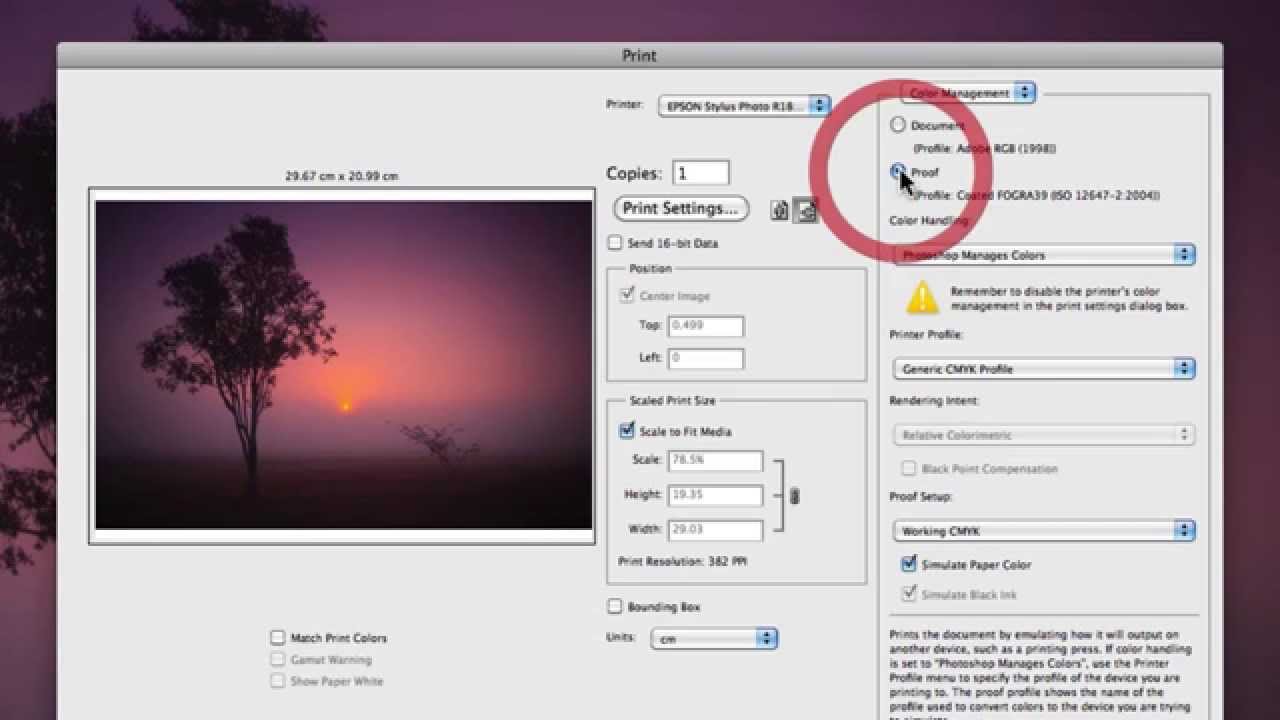 how to change printer presets on mac