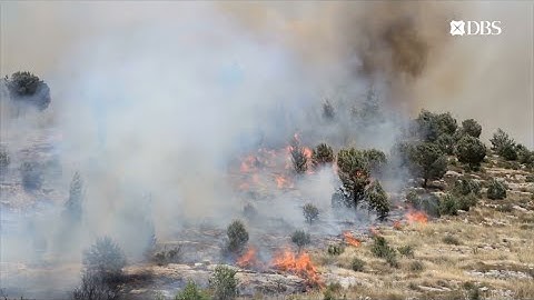 CIO Vantage Point - ESG Investing