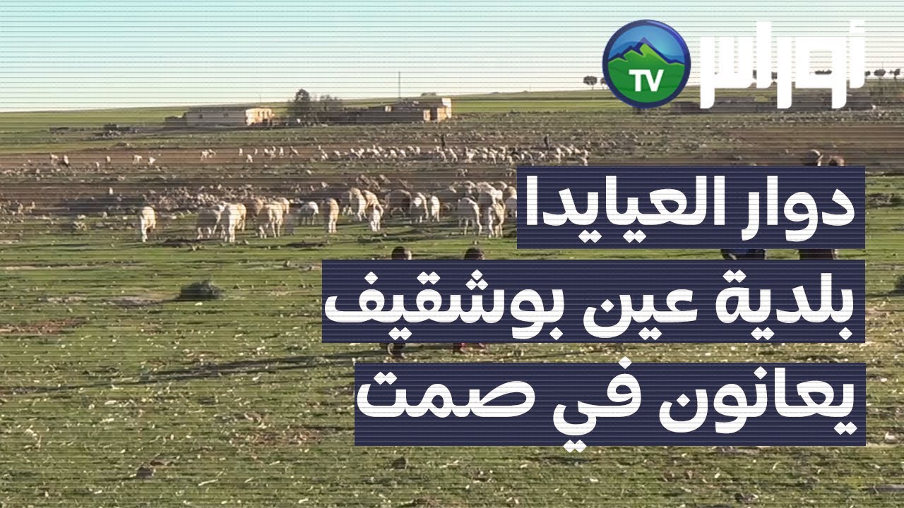 تيارت - دوار العيايدا بلدية عين بوشقيف يعانون في صمت