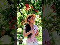 #fruit #food #fruitcutting #garden #shortvideo #satisfying @SmilingKnittingYarn-nm5jn