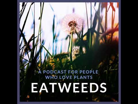EP21: From 19th