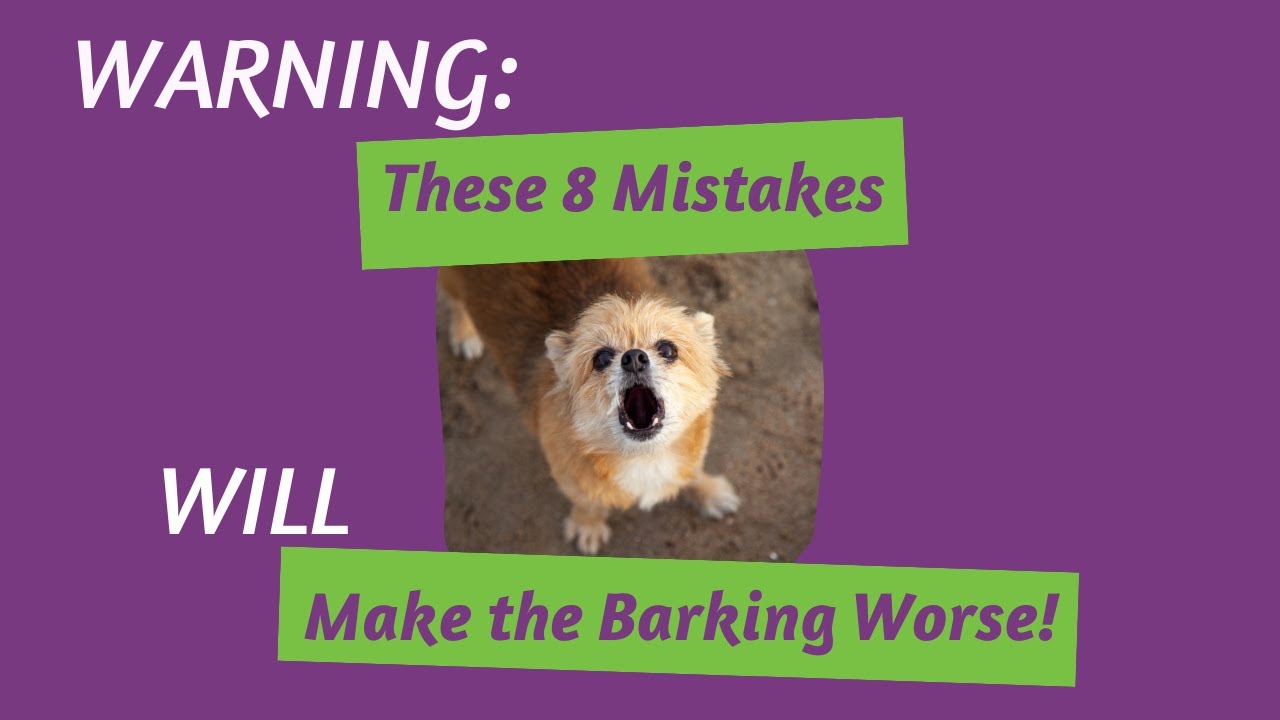 The Most Common Mistakes Dog Parents with Barky Dogs Make when Trying to STOP the Barking