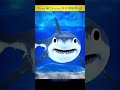 क्यों Shark भी Dolphin से खौफ खाती है? 🦈🐬