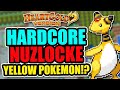 Can I Beat a Pokemon Heart Gold Hardcore Nuzlocke With ONLY Yellow Pokemon? (Pokemon Challenges)