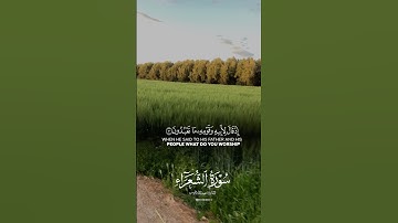 تلاوة خاشعة تريح القلب ❤️