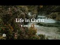 Life In Christ Audio Reading Our Daily Bread Devotional July 11 2025 Life In Christ Audio Reading Our Daily Bread Devotional July 11 2025