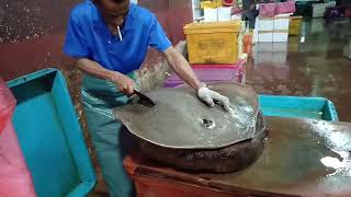Ini dia cara memotong ikan pari besar yang benar untuk dimakan